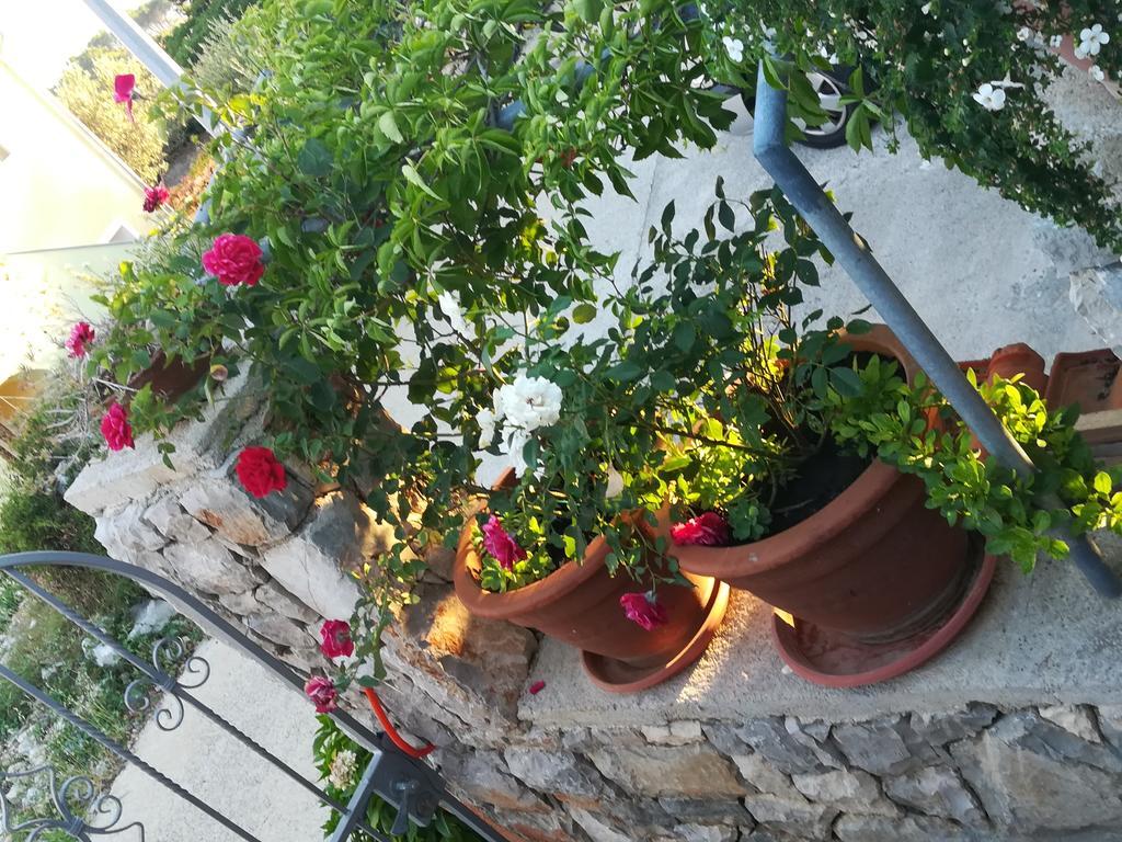 Apartment Neno - Terrace & Parking Veli Lošinj Εξωτερικό φωτογραφία