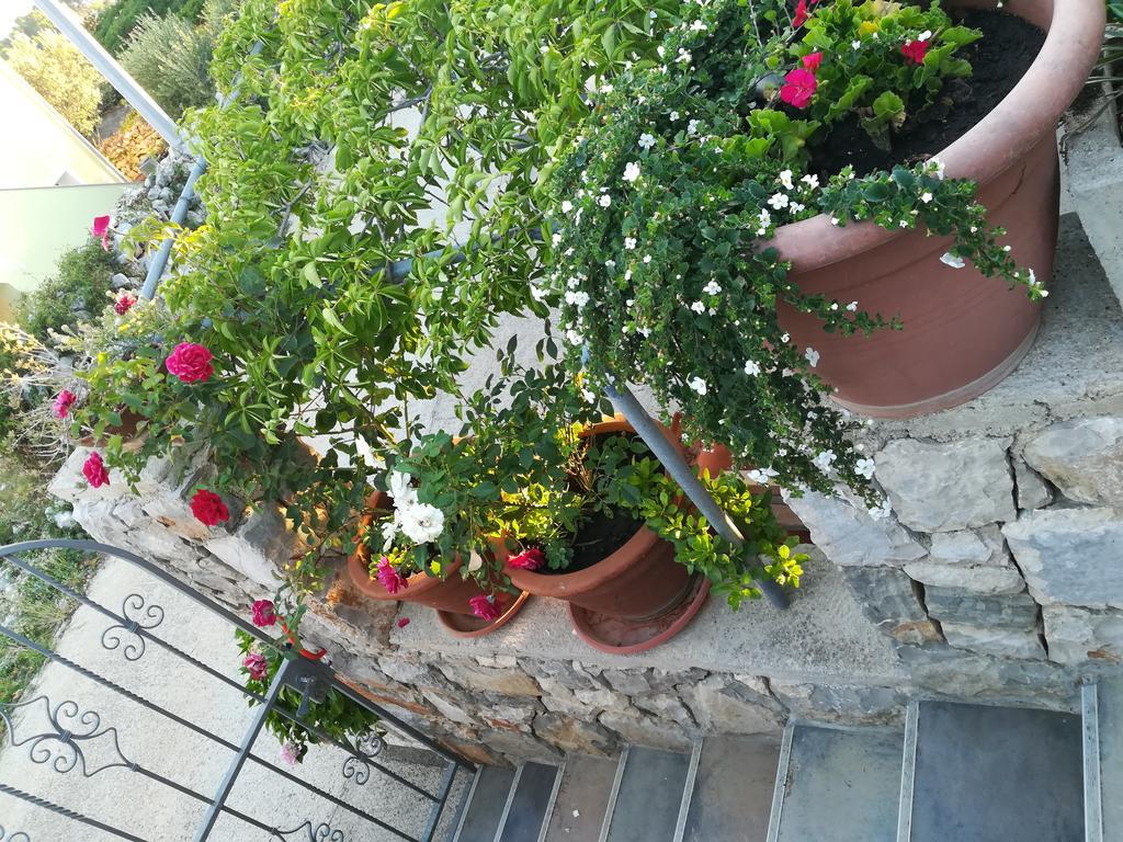 Apartment Neno - Terrace & Parking Veli Lošinj Εξωτερικό φωτογραφία