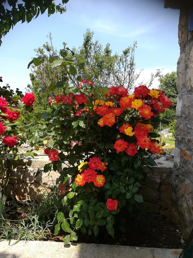 Apartment Neno - Terrace & Parking Veli Lošinj Εξωτερικό φωτογραφία