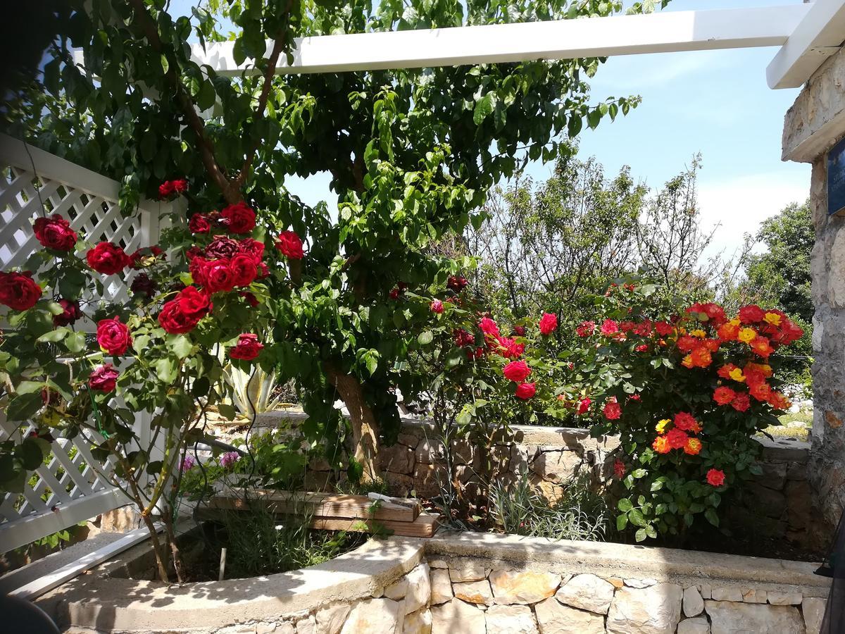 Apartment Neno - Terrace & Parking Veli Lošinj Εξωτερικό φωτογραφία
