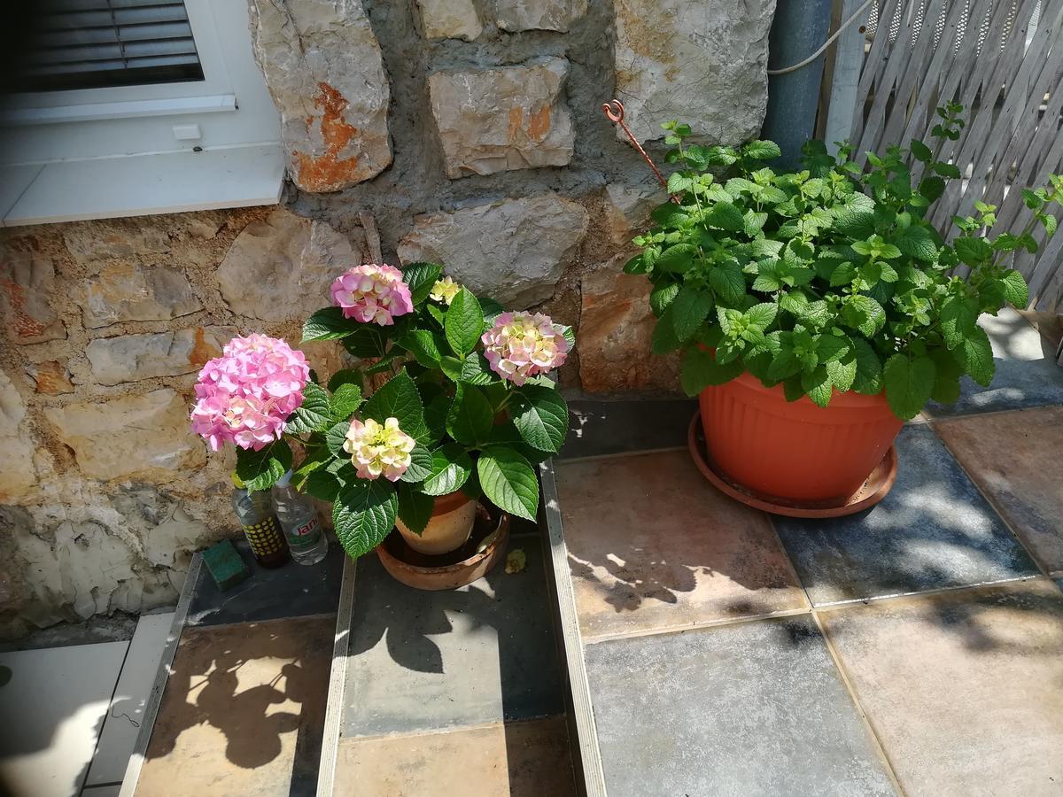 Apartment Neno - Terrace & Parking Veli Lošinj Εξωτερικό φωτογραφία