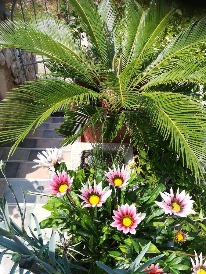 Apartment Neno - Terrace & Parking Veli Lošinj Εξωτερικό φωτογραφία
