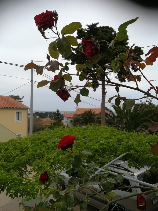 Apartment Neno - Terrace & Parking Veli Lošinj Εξωτερικό φωτογραφία